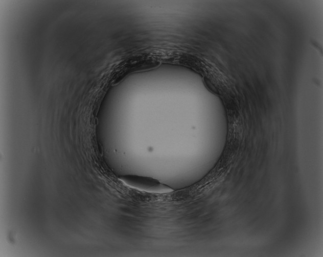 X0000096940961200802291029