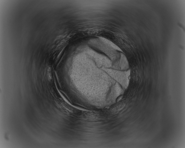 X0000096940962200802291029