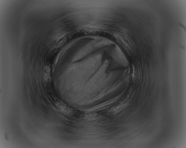 X0000096940964200802291029