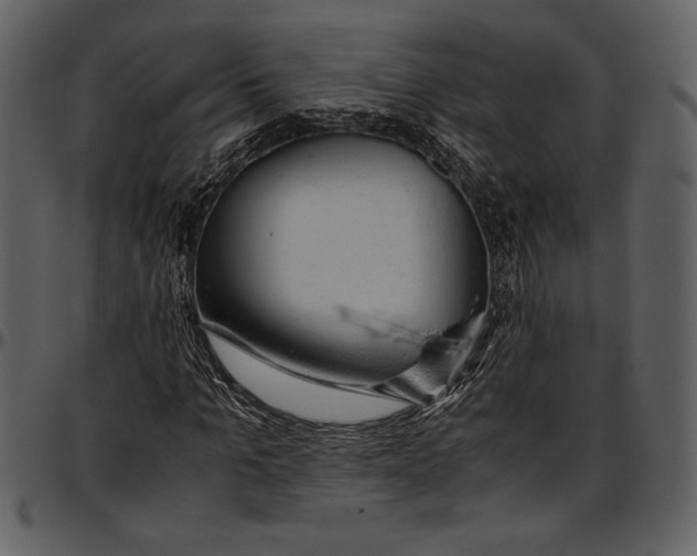 X0000096940965200802291029