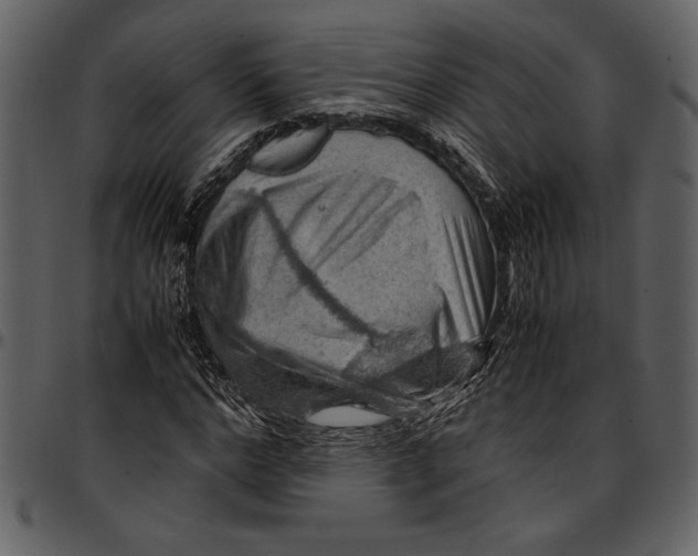 X0000096940968200802291029