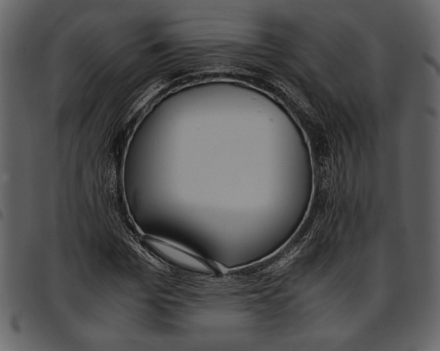 X0000096940969200802291029