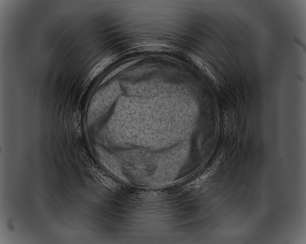 X0000096940970200802291029