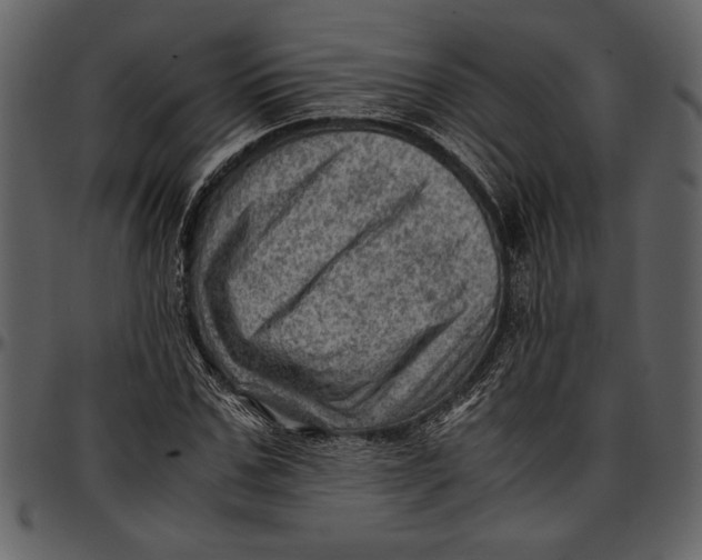 X0000096940971200802291029