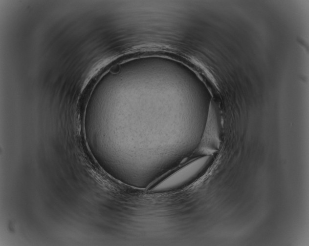 X0000096940973200802291029