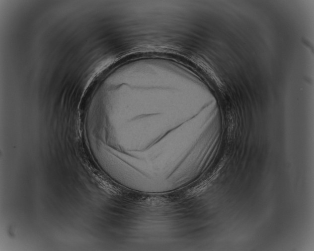 X0000096940974200802291029