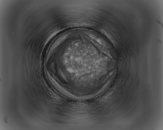 X0000096940975200802291029