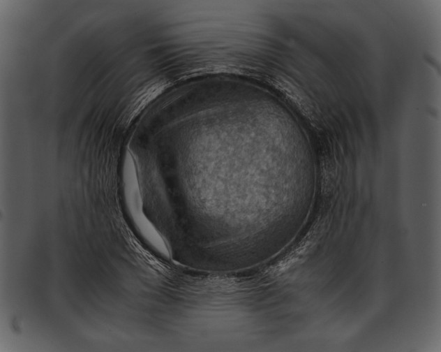 X0000096940977200802291029