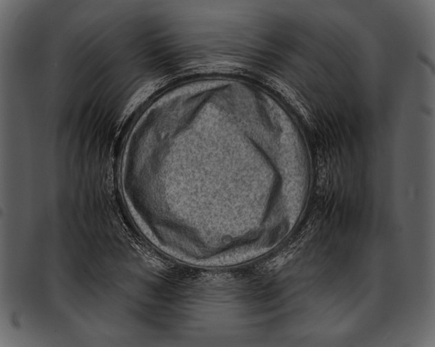 X0000096940978200802291029