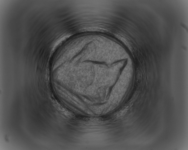 X0000096940979200802291028