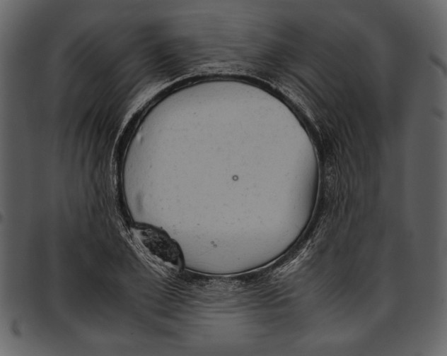 X0000096940981200802291028