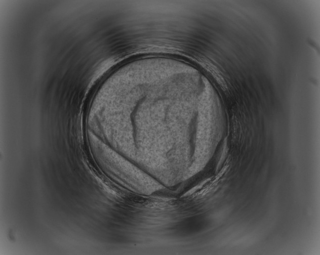 X0000096940982200802291028