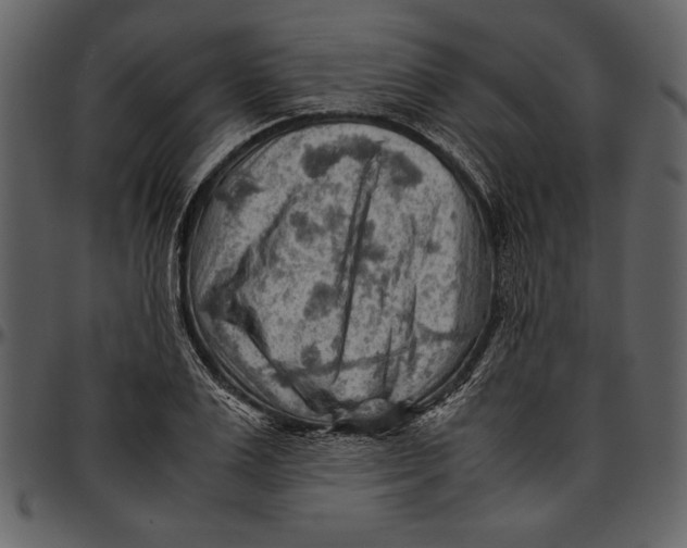 X0000096940983200802291028