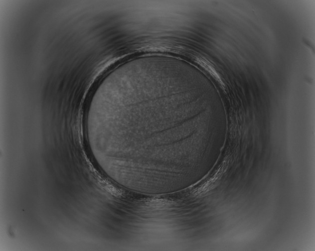 X0000096940984200802291028