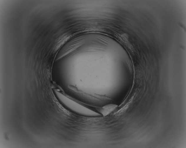 X0000096940985200802291028