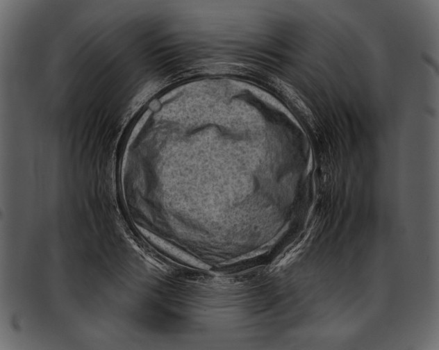 X0000096940986200802291028