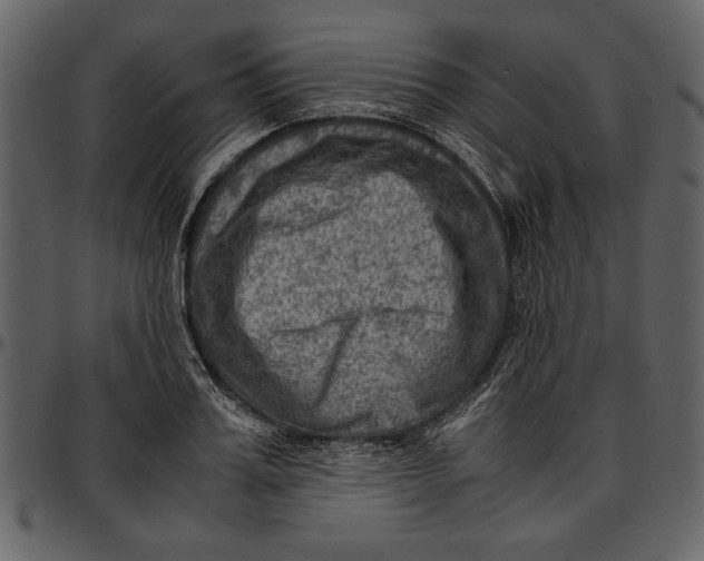 X0000096940987200802291028