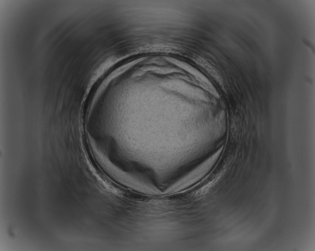 X0000096940989200802291028