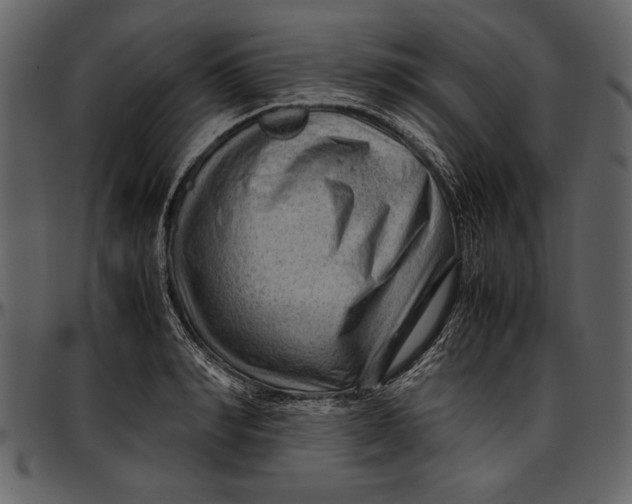 X0000096940990200802291028