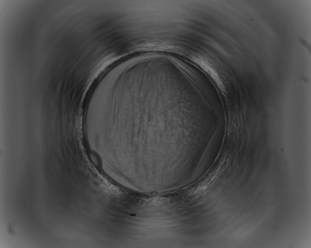 X0000096940992200802291028