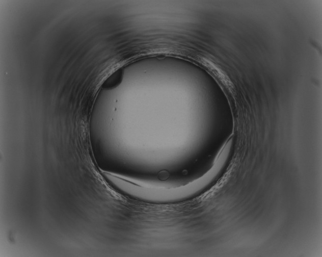 X0000096940993200802291028