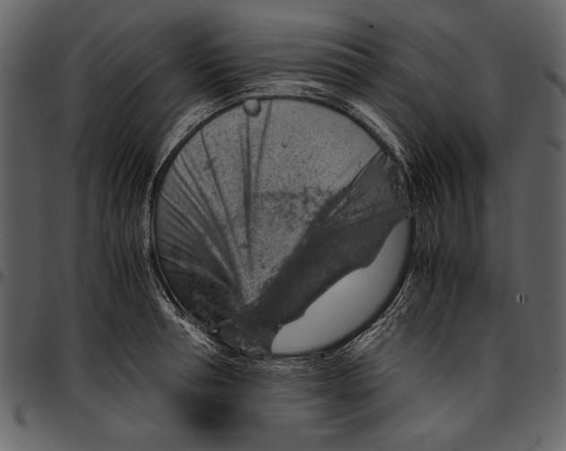 X0000096940994200802291028