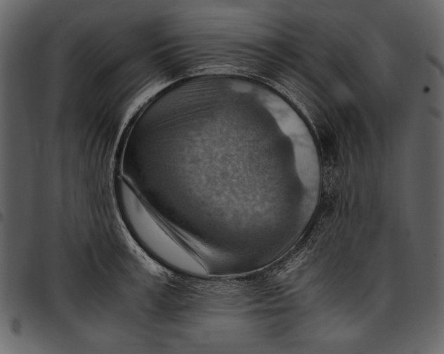 X0000096940995200802291028