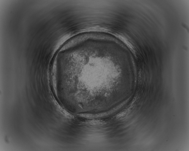 X0000096940998200802291028