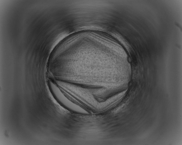 X0000096940999200802291028