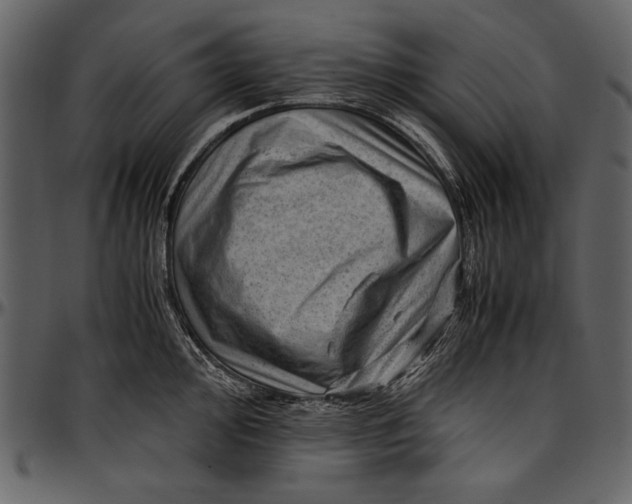 X0000096941000200802291028