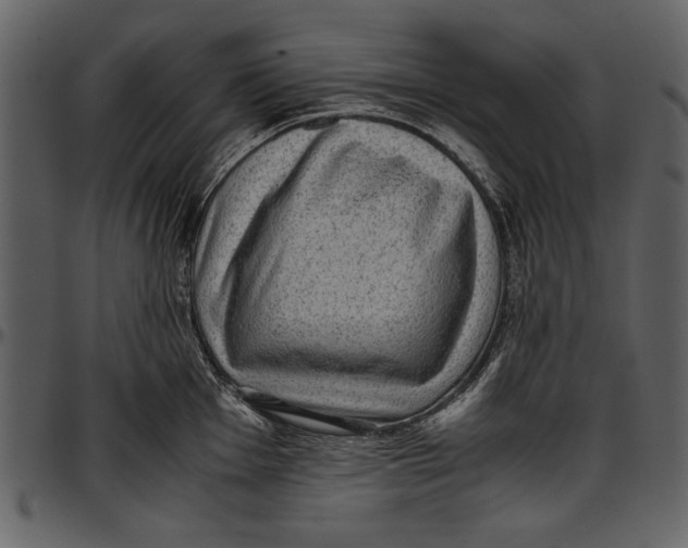 X0000096941001200802291028