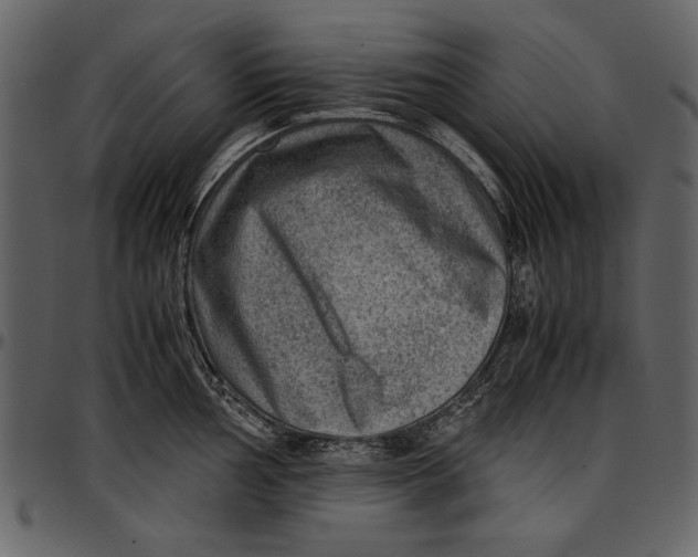 X0000096941002200802291028