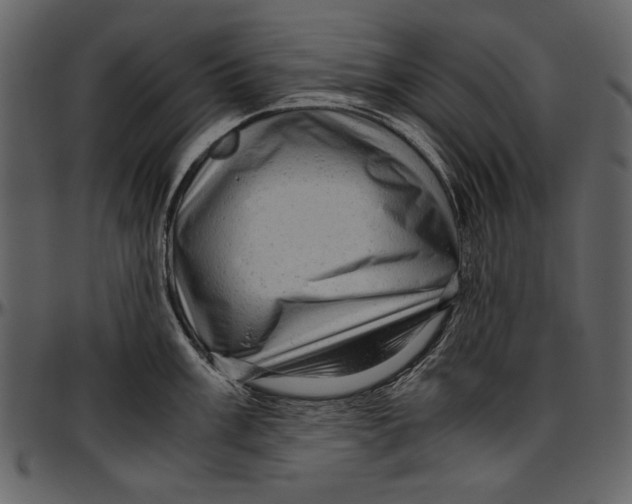 X0000096941003200802291028