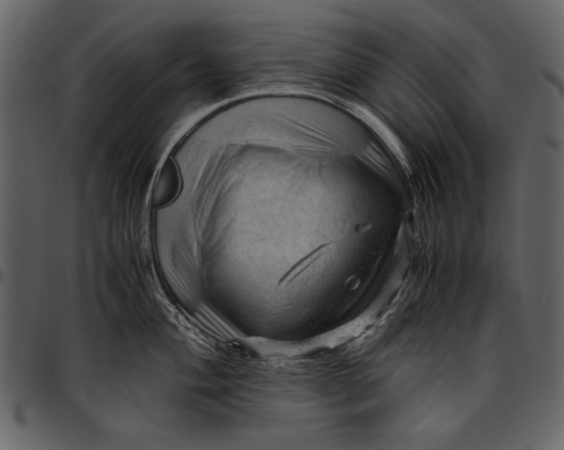 X0000096941004200802291028