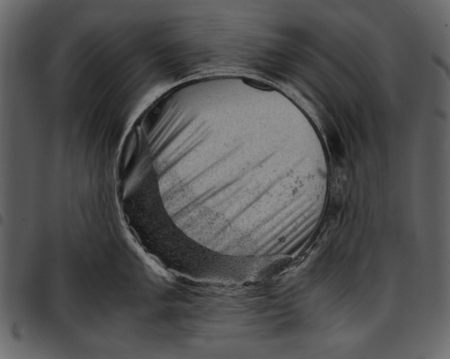 X0000096941005200802291028