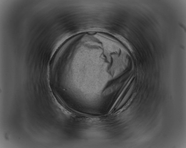 X0000096941006200802291028