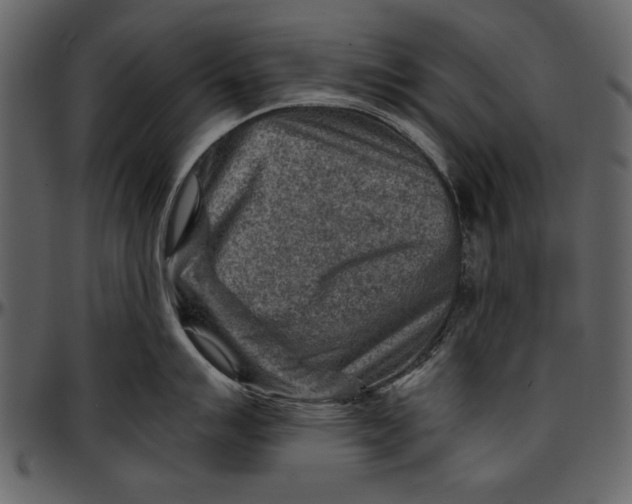 X0000096941007200802291028