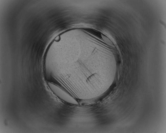 X0000096941008200802291028