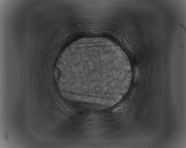 X0000096941009200802291027