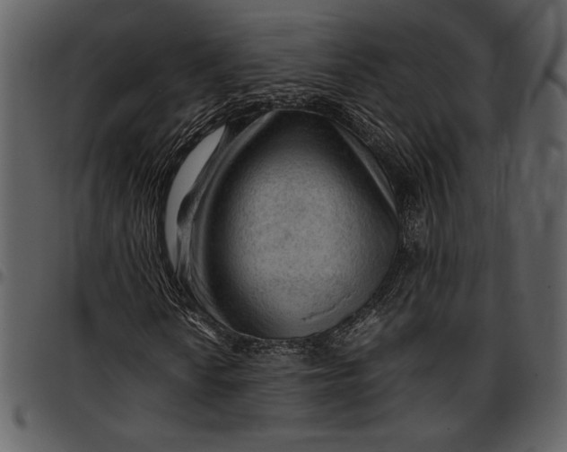 X0000096941010200802291027