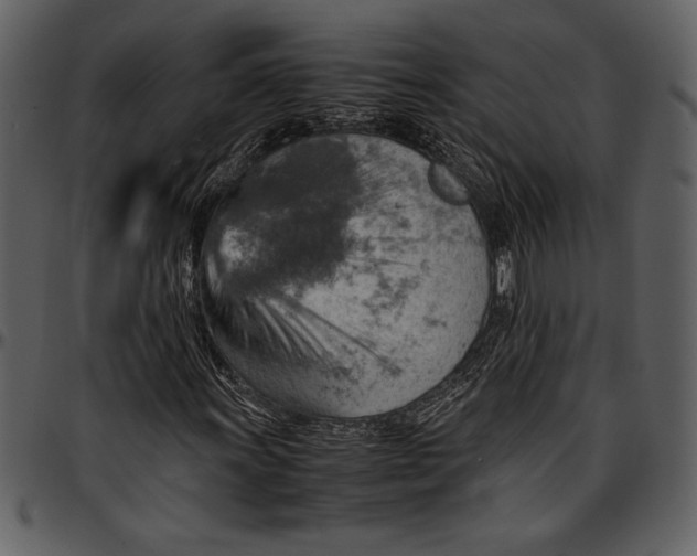 X0000096941011200802291027