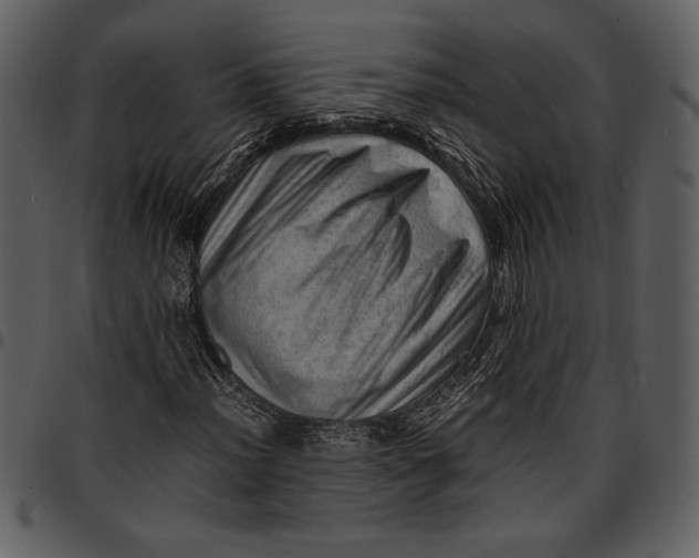 X0000096941012200802291027