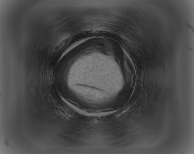 X0000096941014200802291027