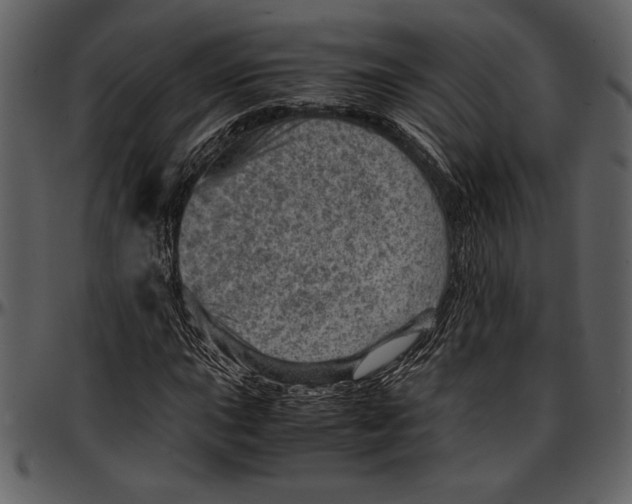 X0000096941015200802291027