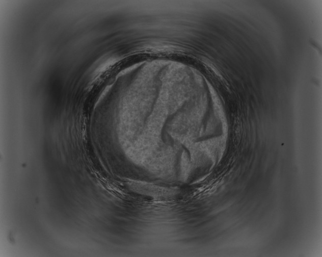 X0000096941016200802291027