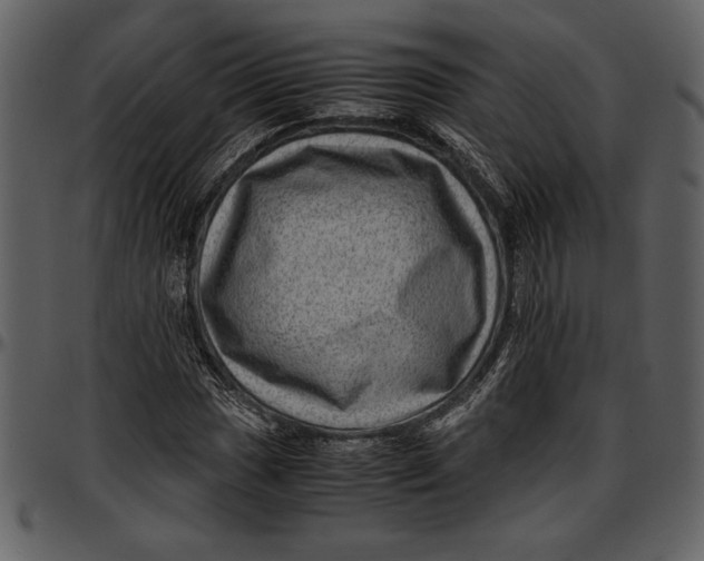 X0000096941017200802291027