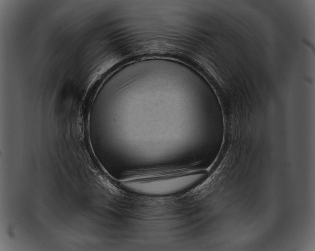 X0000096941018200802291027