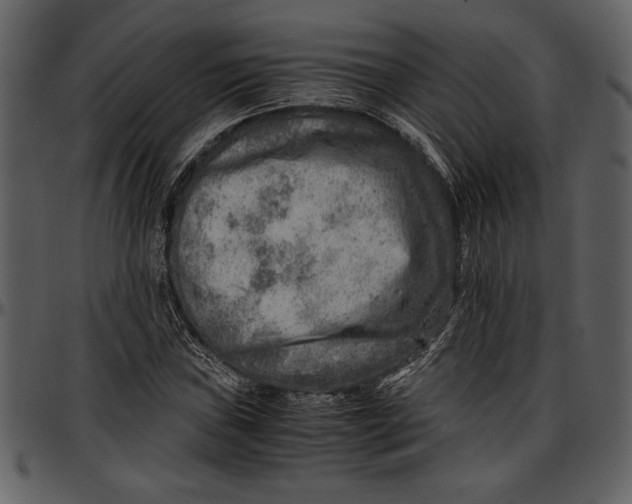 X0000096941019200802291027