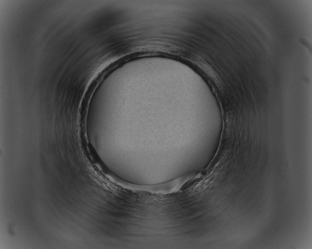 X0000096941020200802291027