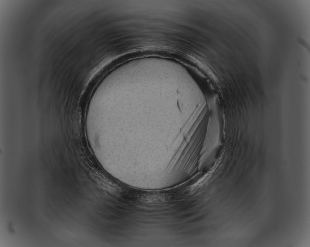 X0000096941021200802291027